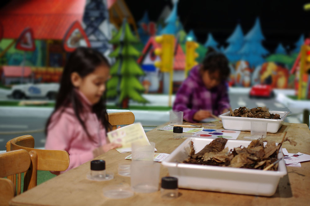 Animations groupe maison des insectes